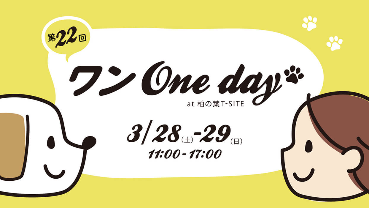 ワンOneDay