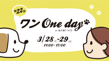 ワンOneDay